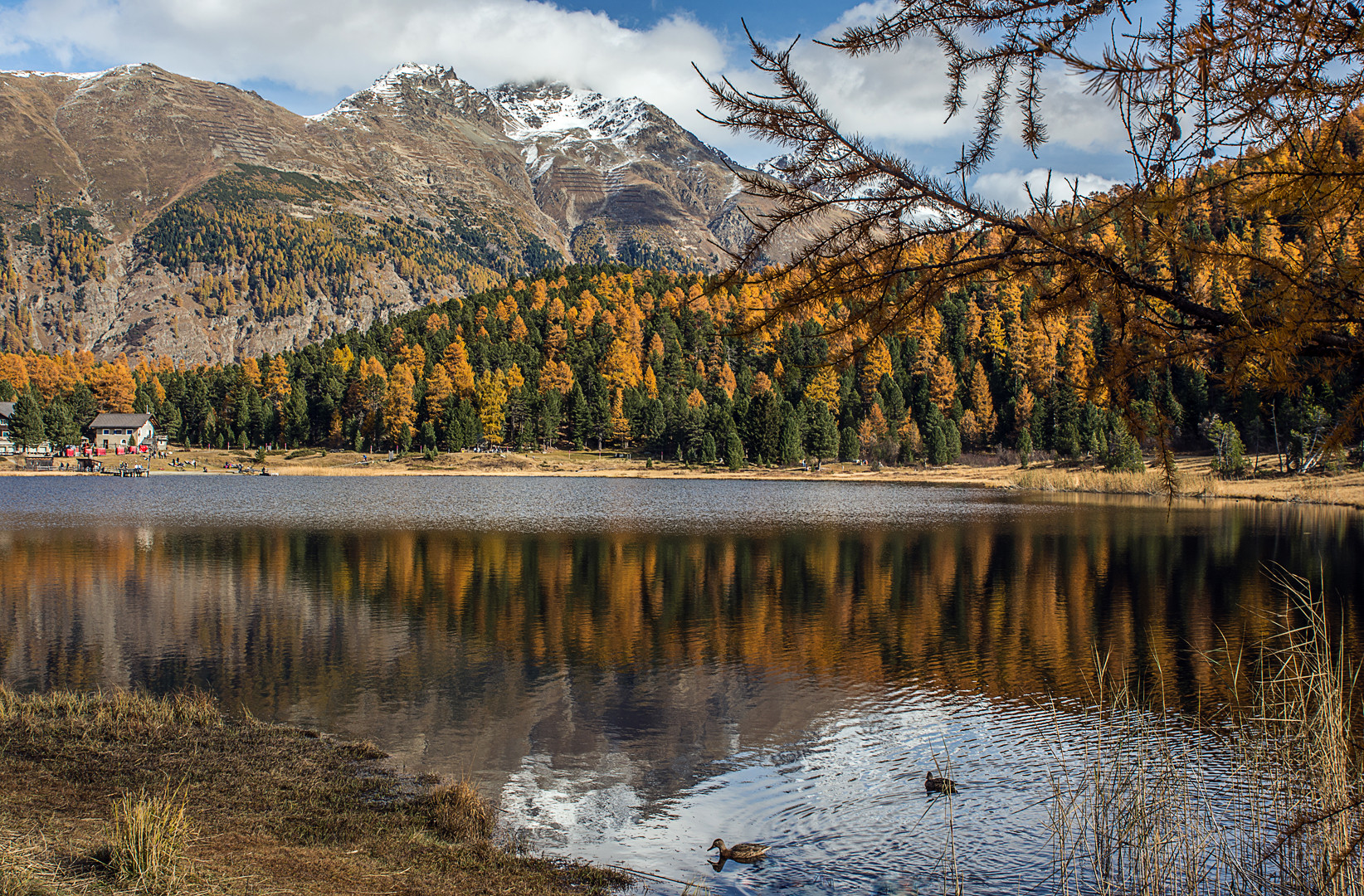 Lej da Staz (Stazersee)