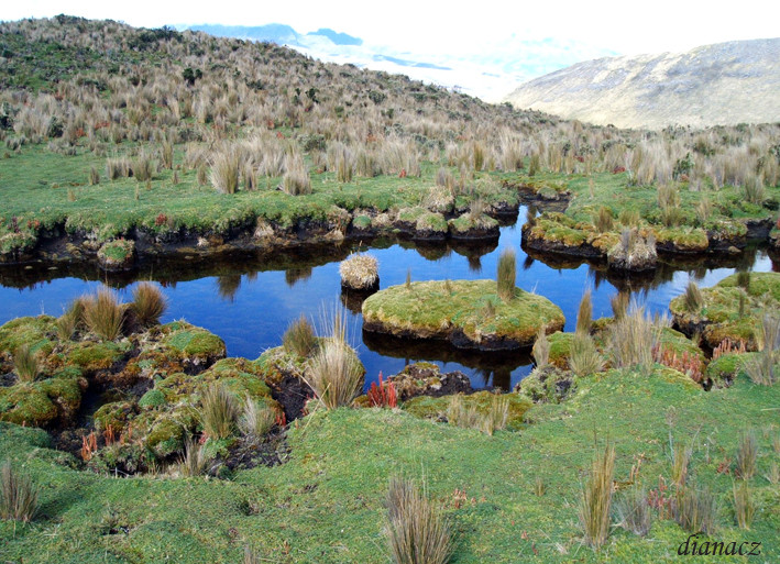 lejos de la ciudad