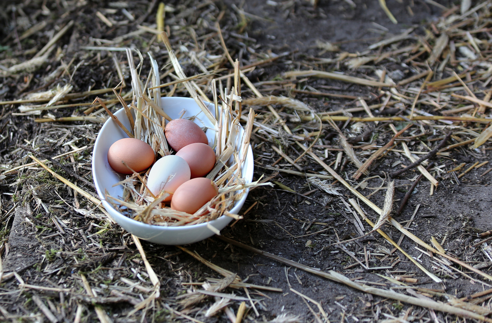 lekker Frühstück