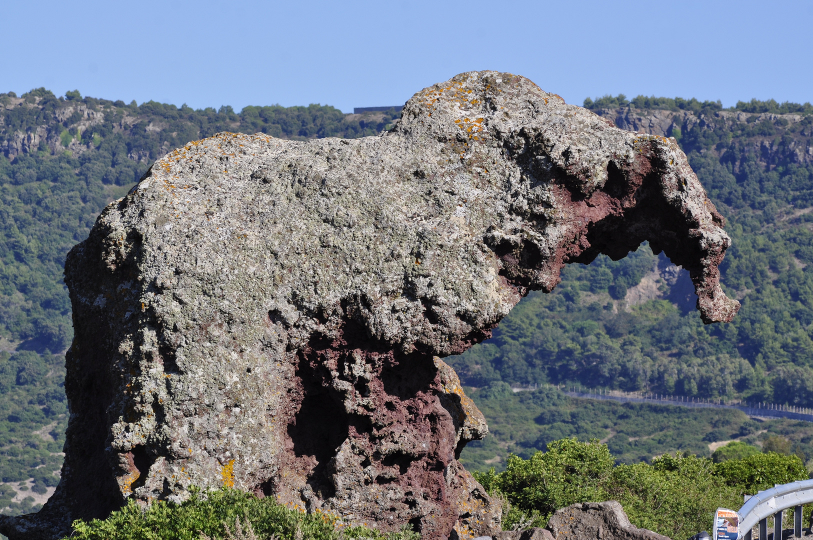 l'elefante a Castelsrdo