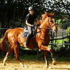 l'élégance d'un couple (Iban et Frère Jean)