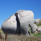 L'éléphant de roche