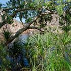 Leliyn - Edith Falls