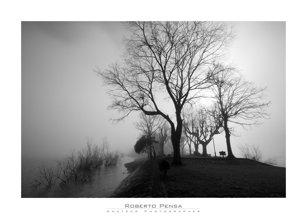 L'elusività della nebbia