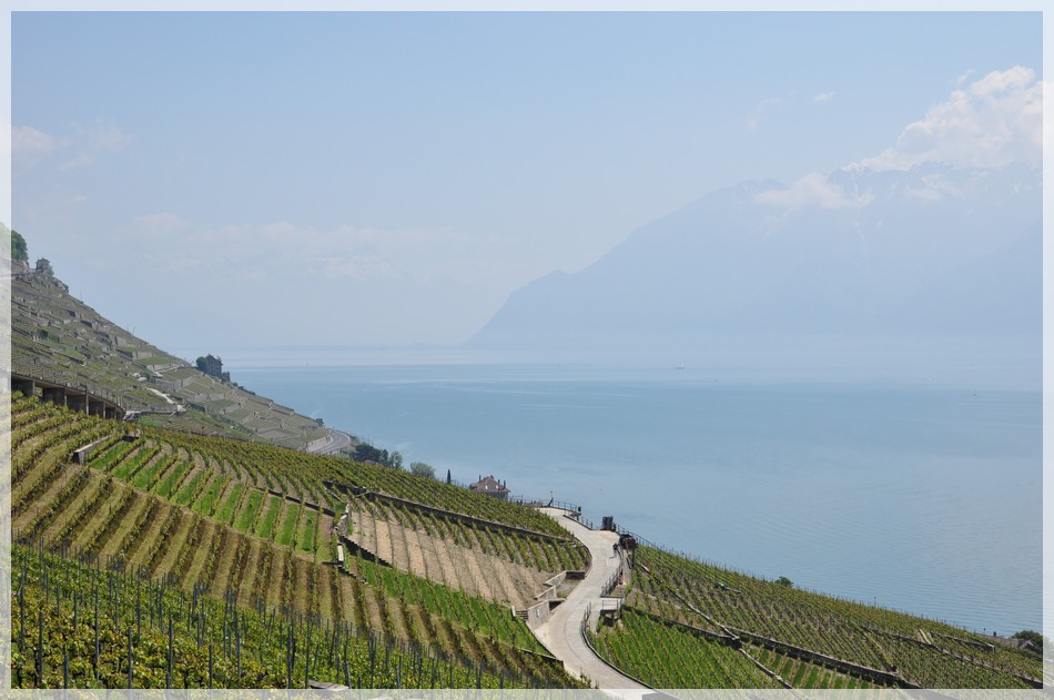 Léman et Lavaux