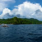 Lembeh-typisch