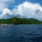 Lembeh-typisch