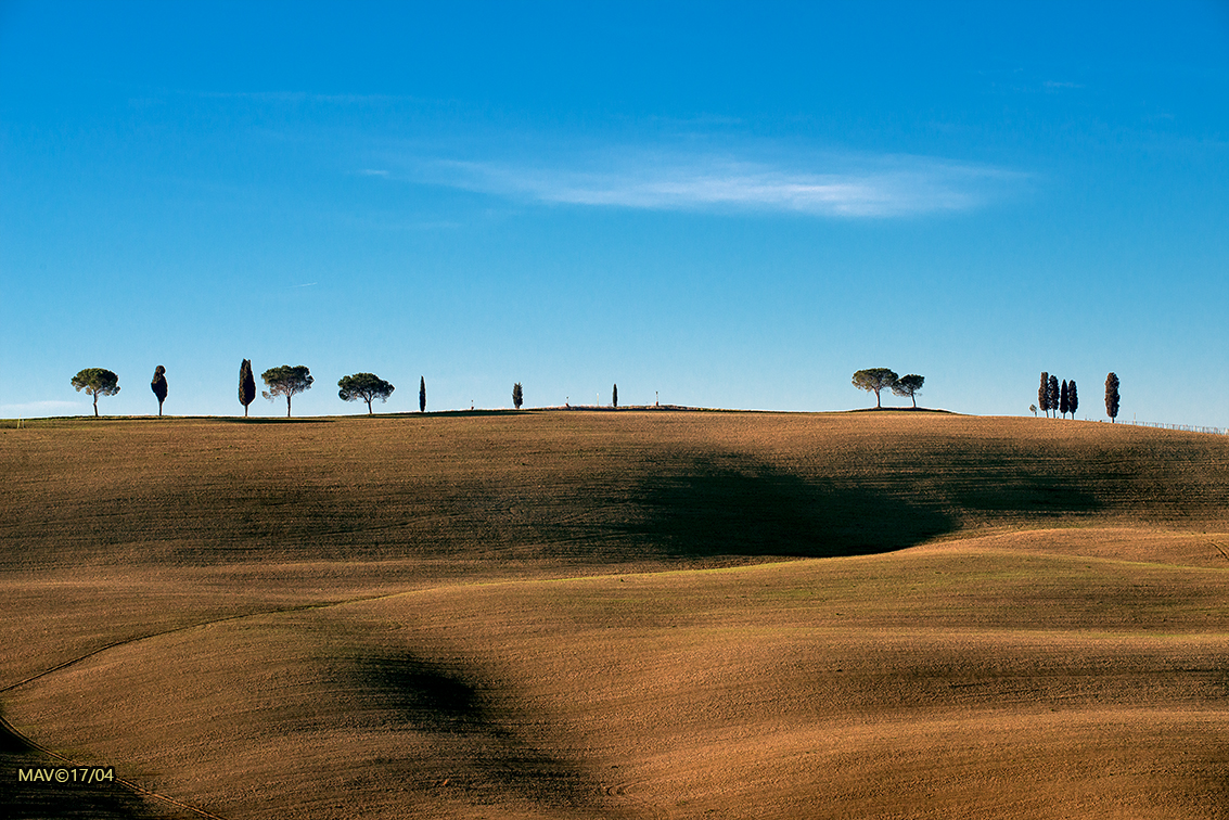 Lembi di Val D'Orcia