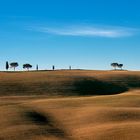 Lembi di Val D'Orcia