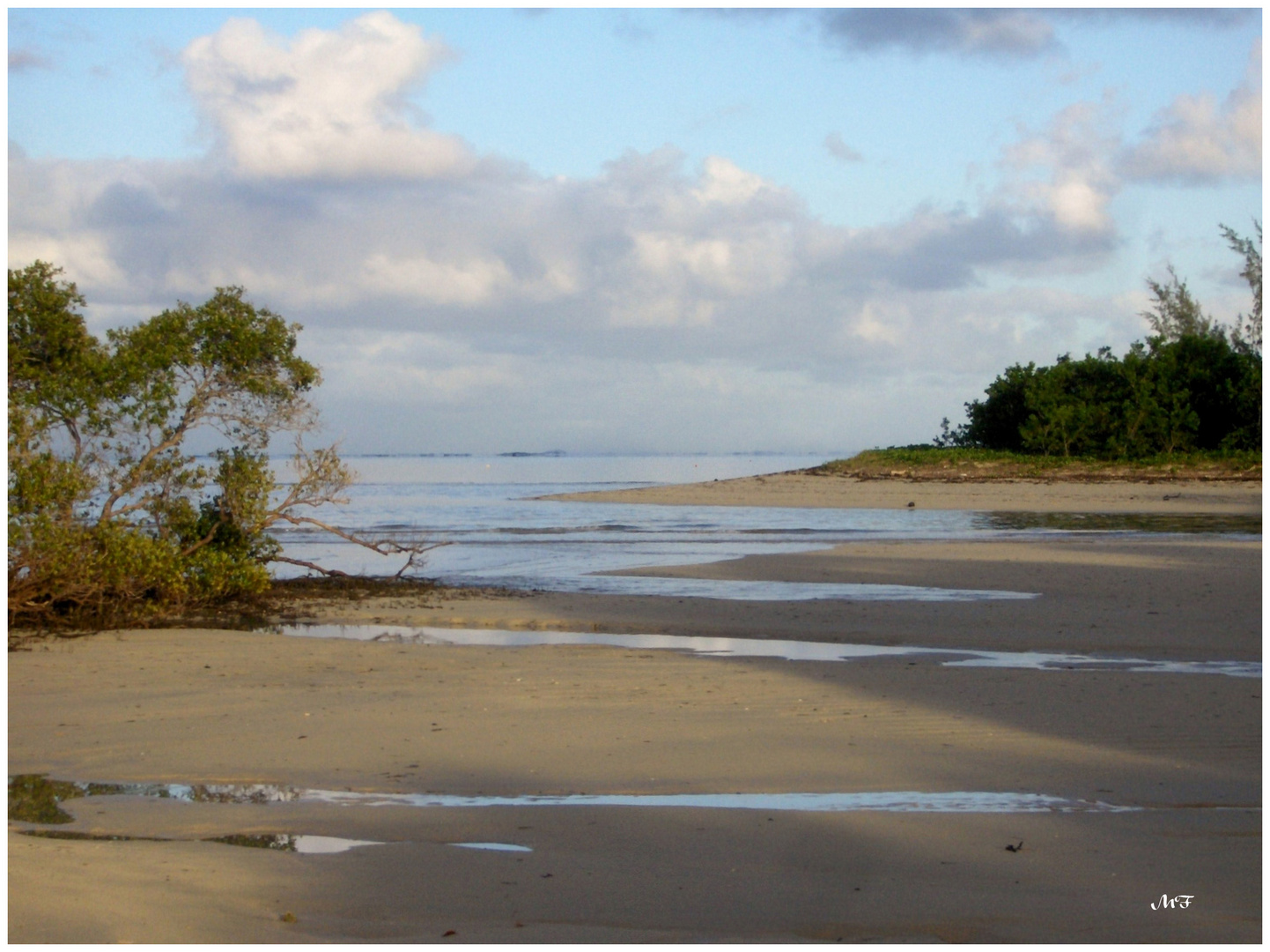 L'embouchure de la rivière à marée basse