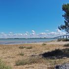  L’embouchure et le pont de la Seudre entre Marennes et La Tremblade (Charente-Maritime)