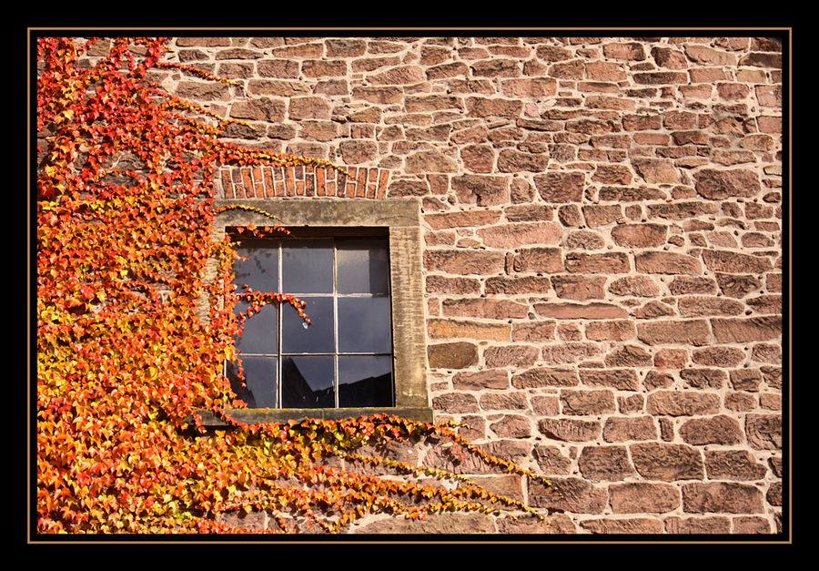 Lemgo Fenster 2 - Herbstfenster
