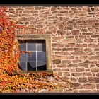 Lemgo Fenster 2 - Herbstfenster