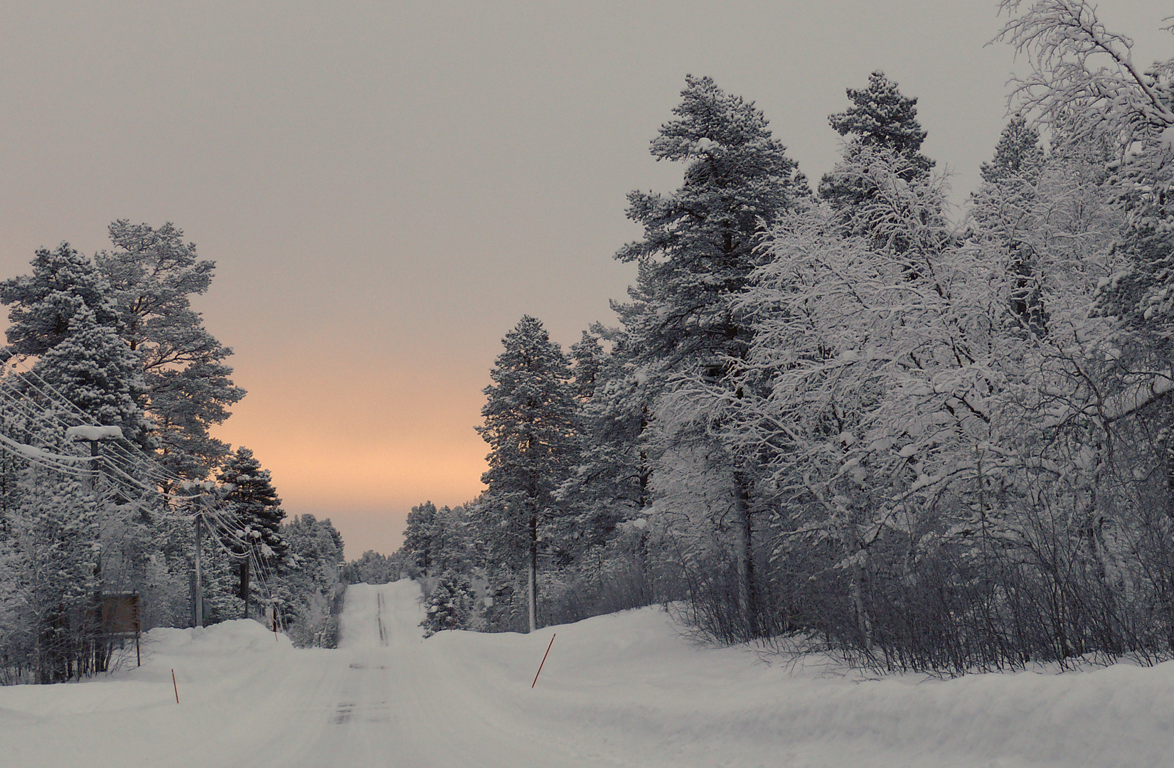 Lemmenliekki - Januar