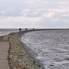 Lemminge - oder Road to Nowhere