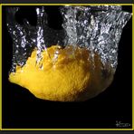 Lemon #4