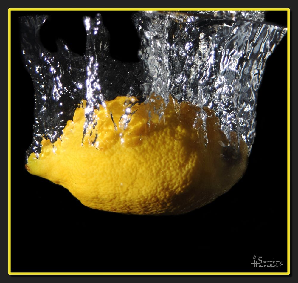 Lemon #4