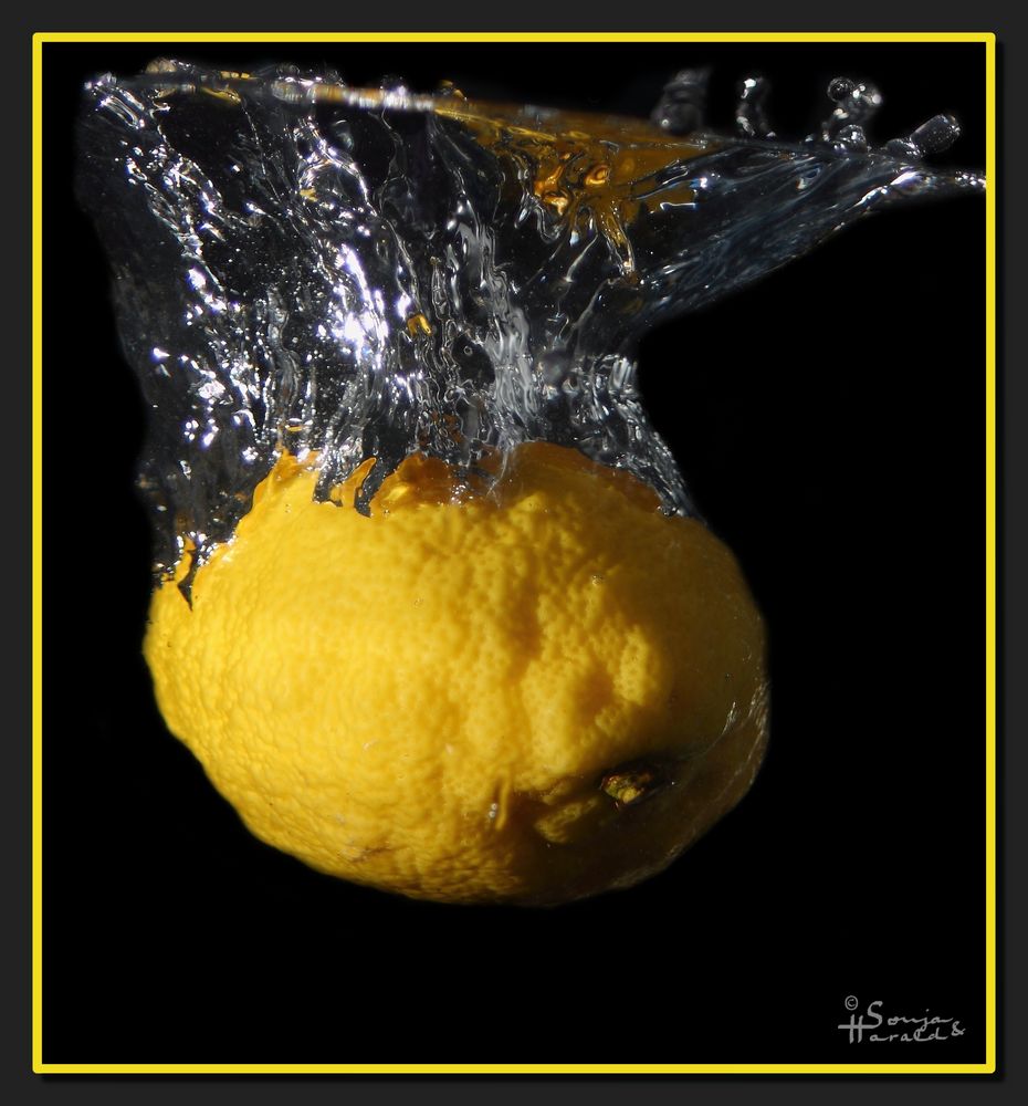 Lemon #5