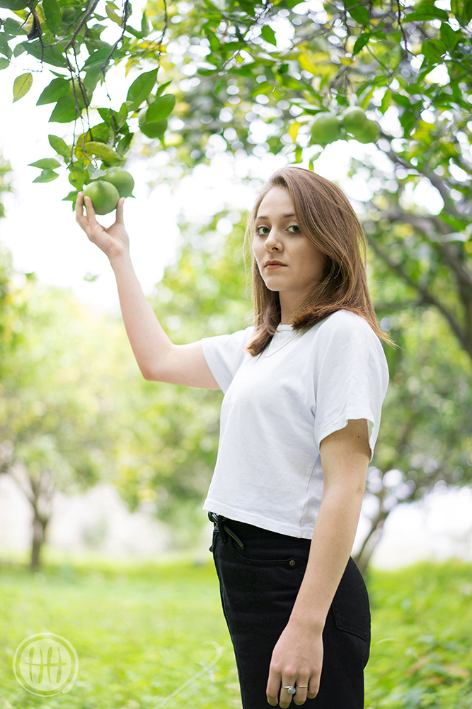 Lemon Tree.