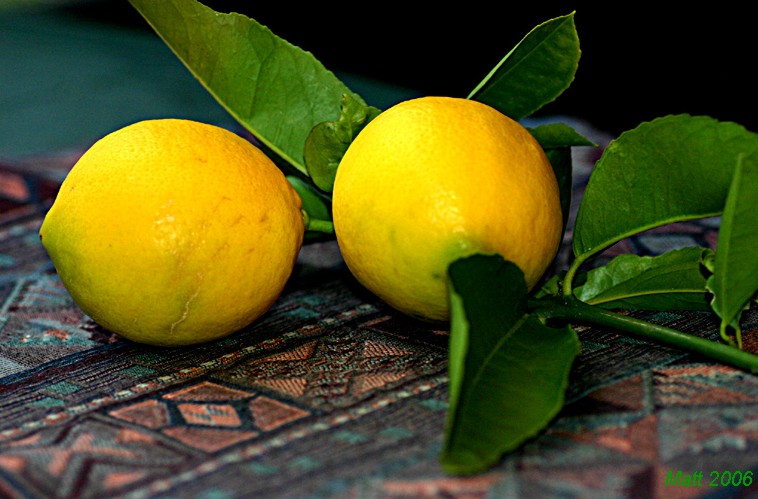 Lemons-Still life