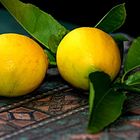Lemons-Still life