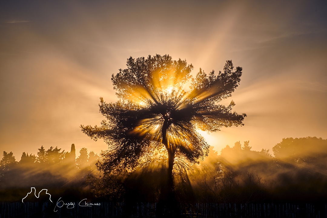 L'emozione della luce