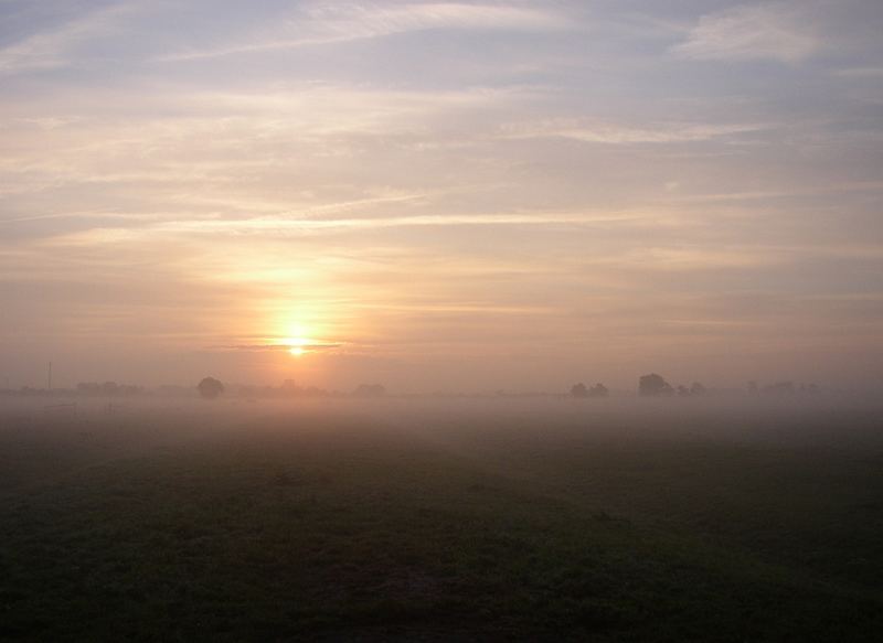 Lemwerder im Nebel