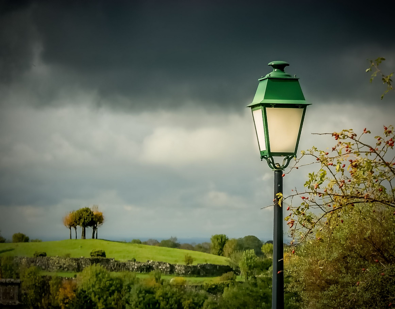 L'en vert du décor