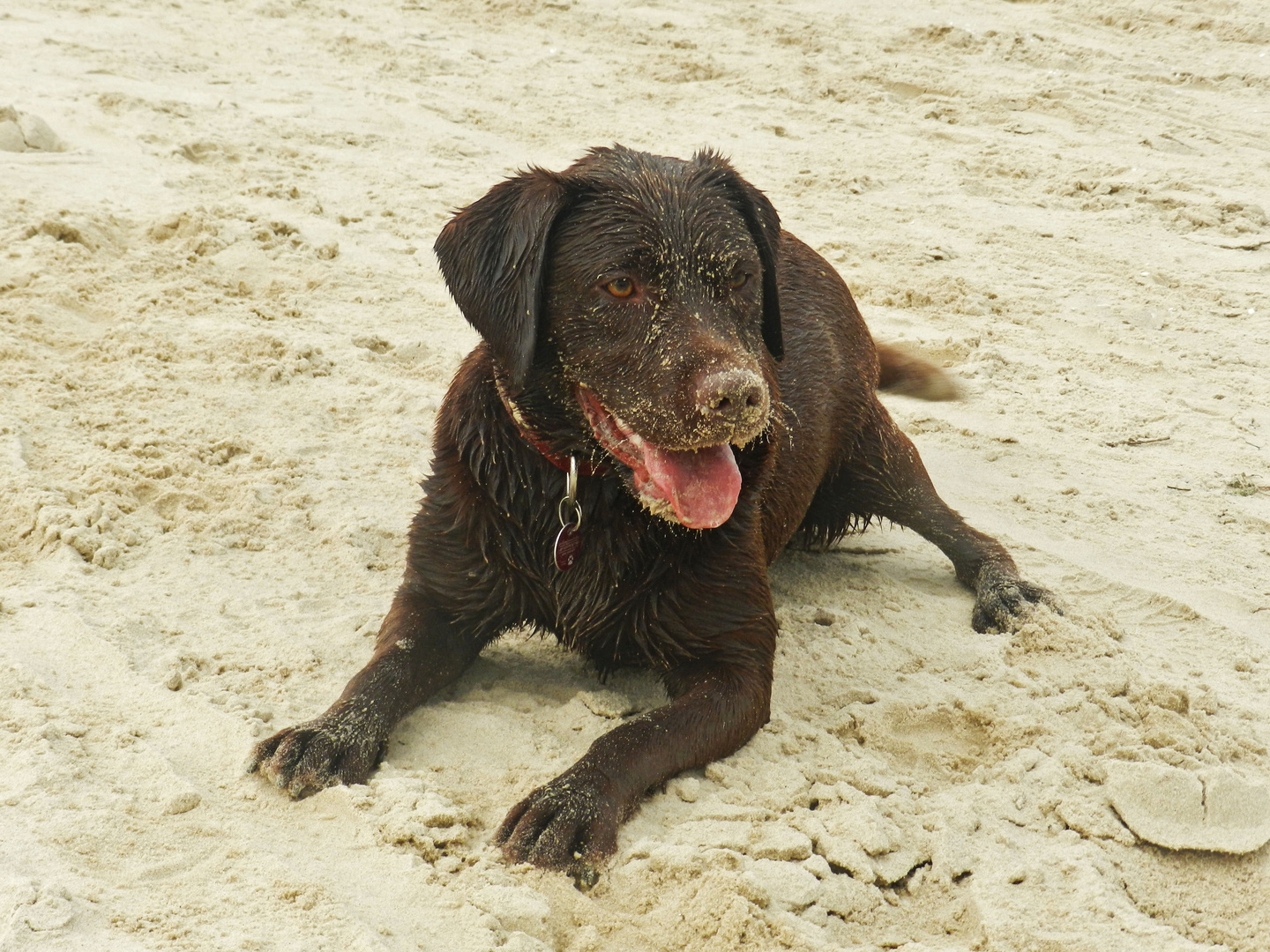 Lena am Strand