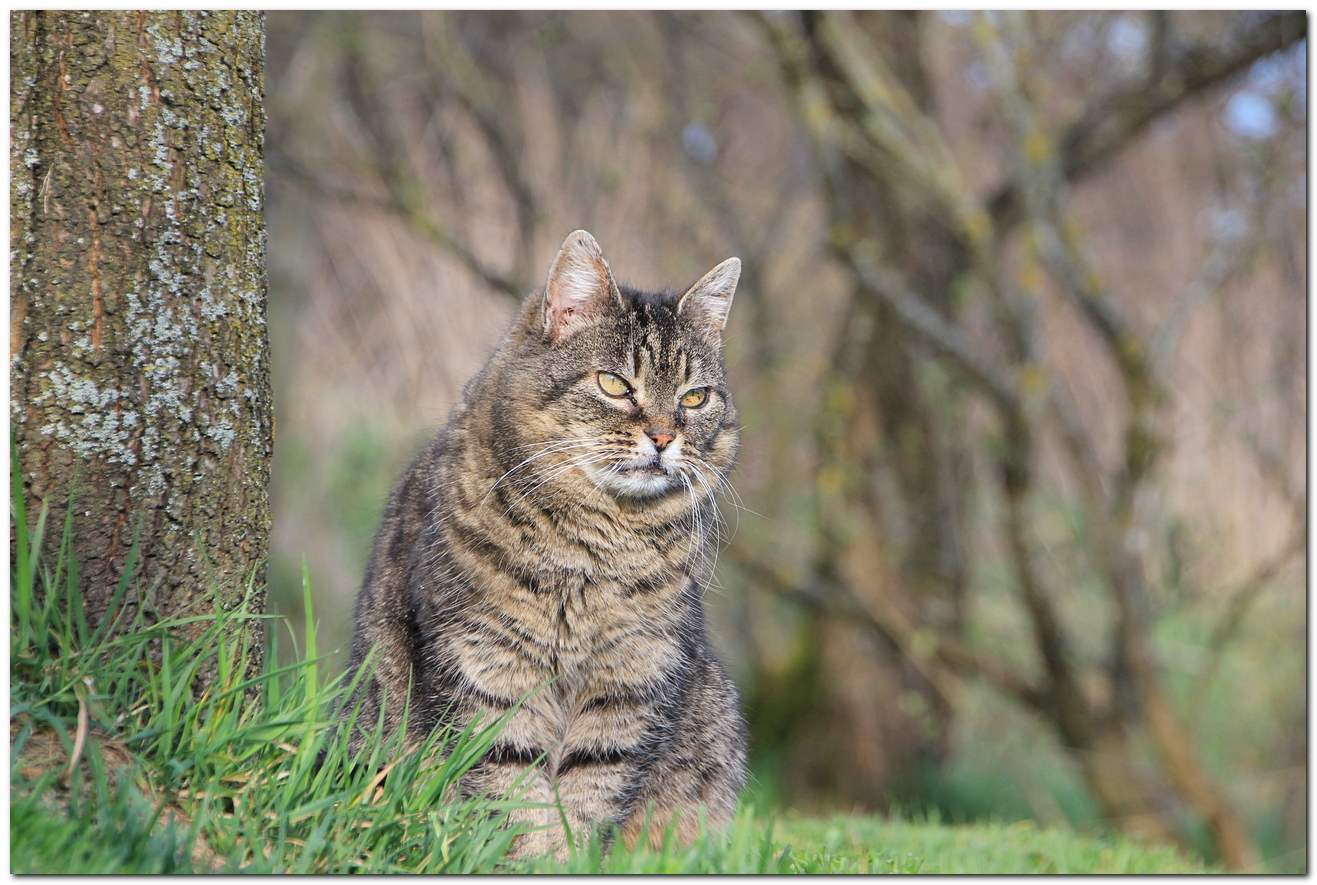 Lena im Garten -2013