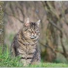 Lena im Garten -2013