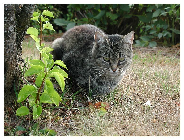 Lena im Garten