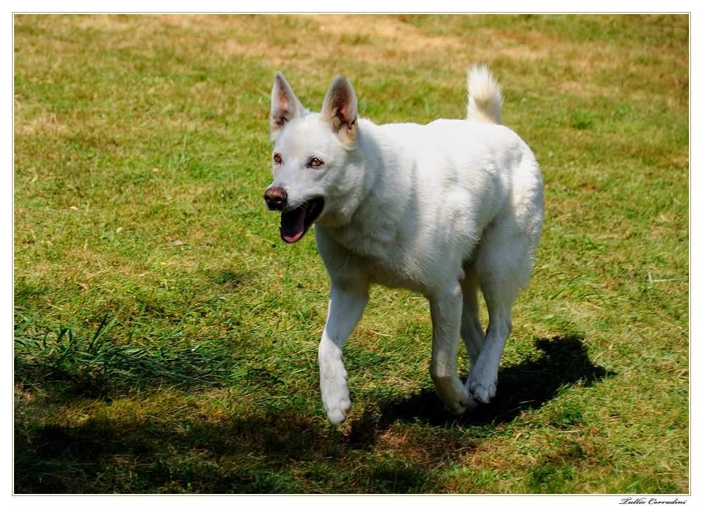 Lena..in corsa lenta