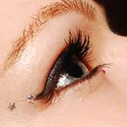 Lena's Auge :)