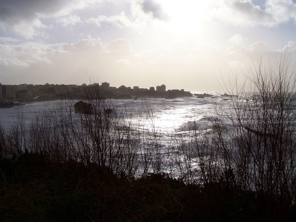 lendemain de tempete