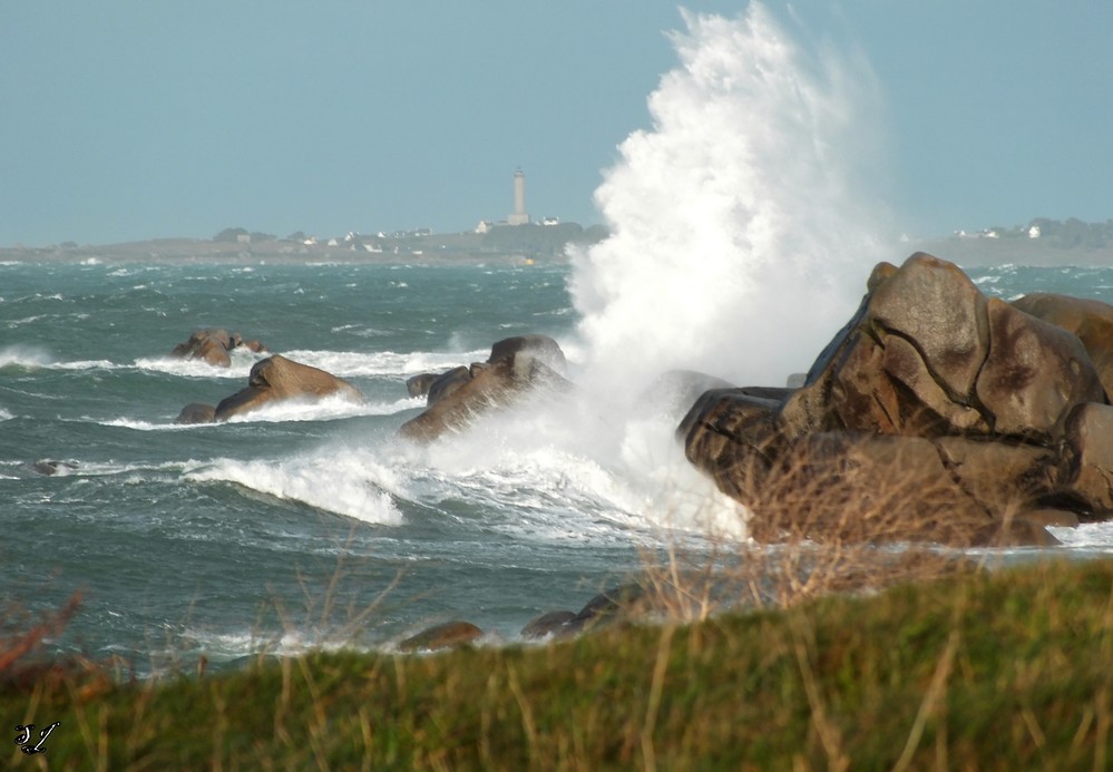 Lendemain de tempête