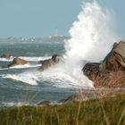 Lendemain de tempête