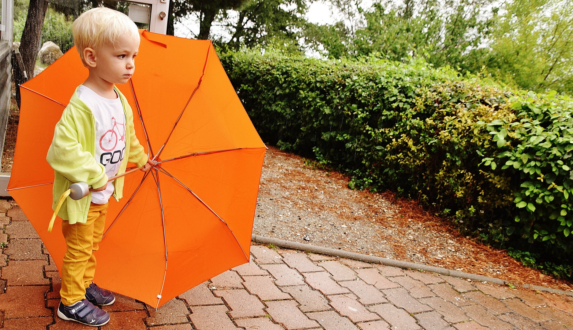 L'enfant au parapluie..........