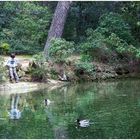 L'enfant aux canards