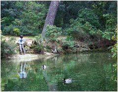 L'enfant aux canards