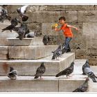 L'enfant aux pigeons.