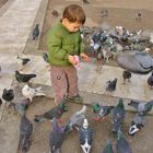 L'enfant aux pigeons!