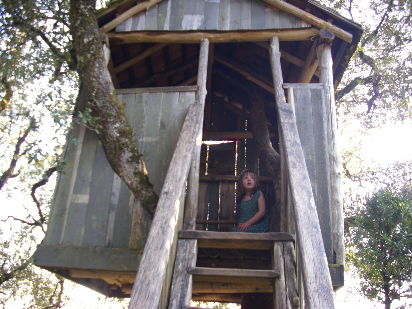 L'enfant dans la cabane