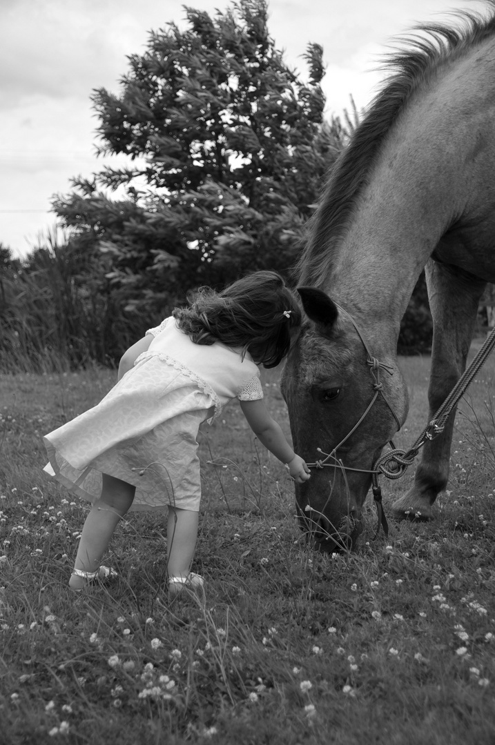 l'enfant et le cheval