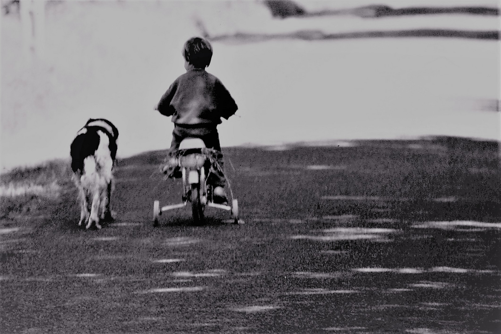 L'enfant et le chien