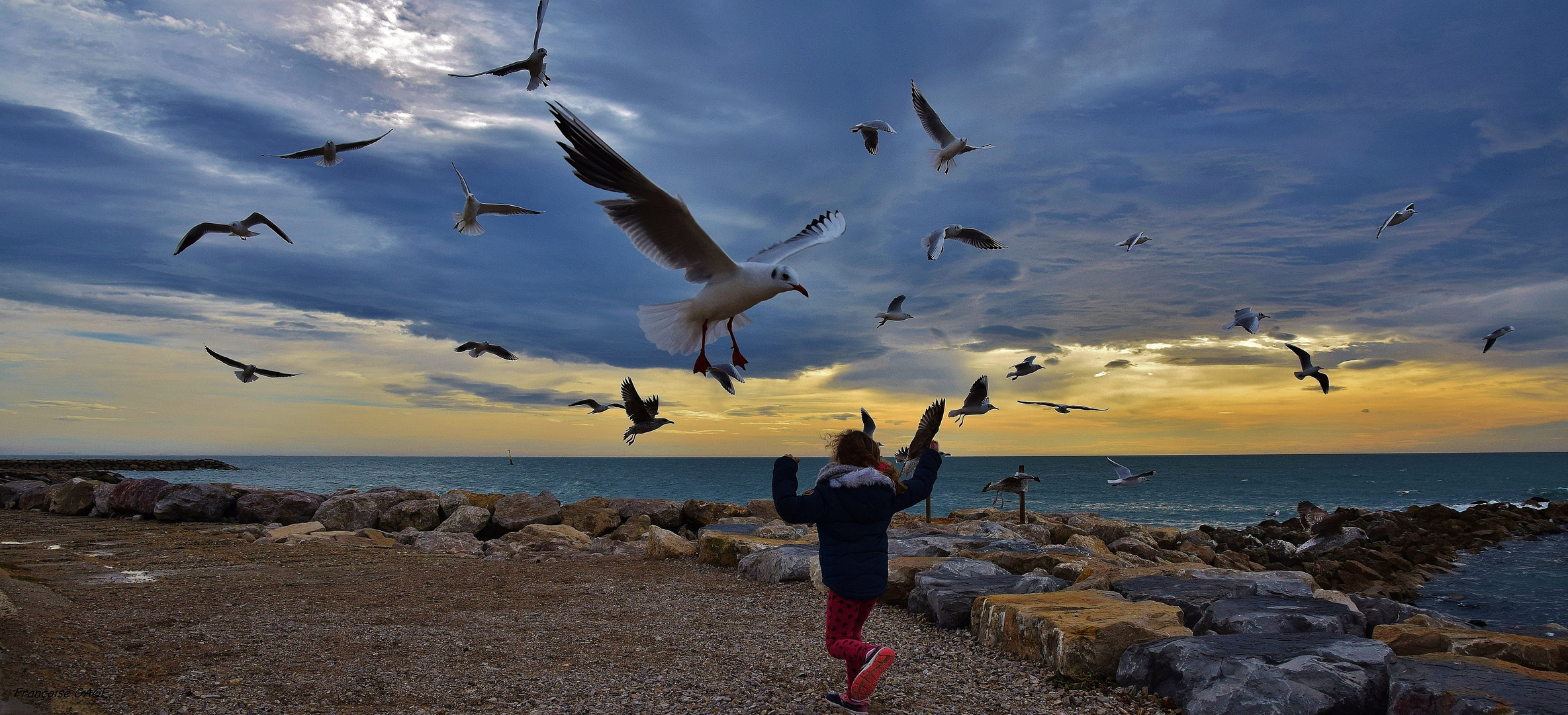 L'enfant et les mouettes.