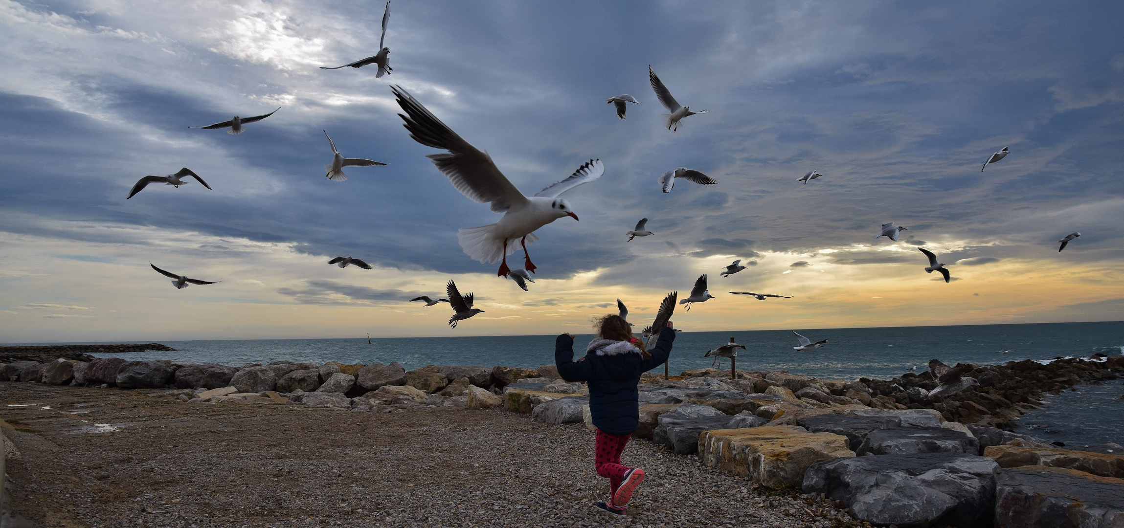 L'enfant et les mouettes....