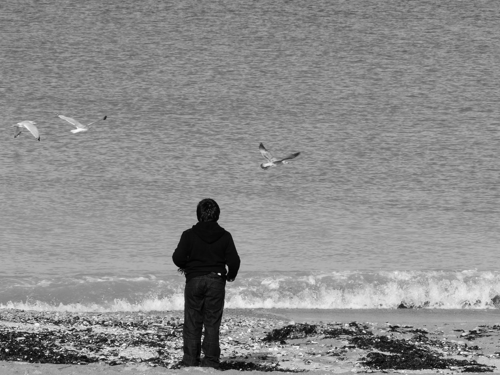 L'enfant et les mouettes ...