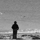 L'enfant et les mouettes ...