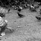 L'enfant et les pigeons